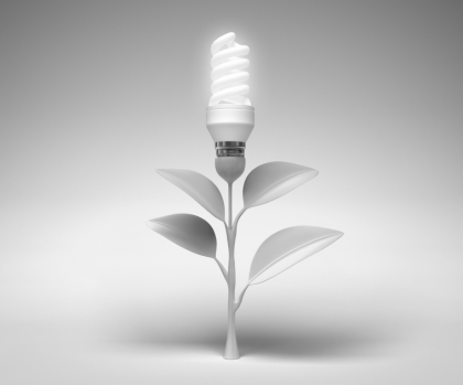 Ojoj, kaj se je zgodilo s SkavtNETom?