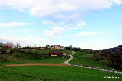 Obljube stega Zelenih zmajev (foto)