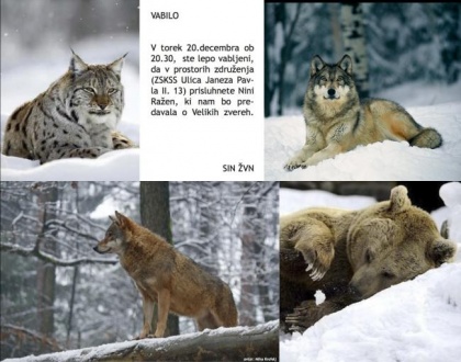 Se bojiš velikih zveri?