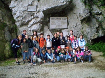 Volčiči "prepotovali" Slovenijo