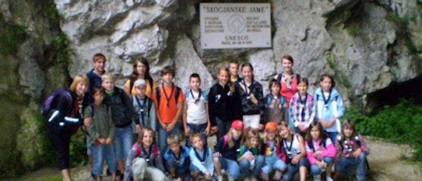 Volčiči "prepotovali" Slovenijo