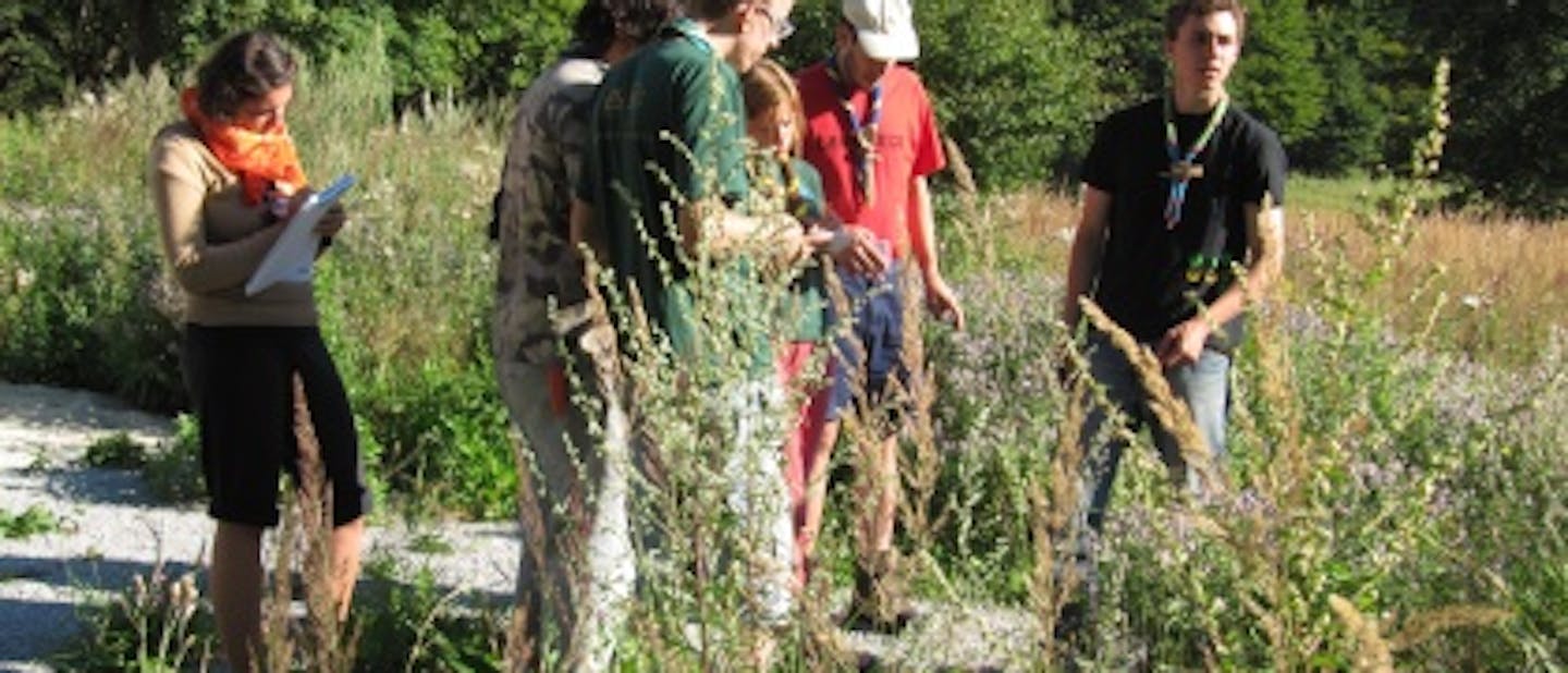 ŽvN1 2011: udeleženci in skavtske veščine