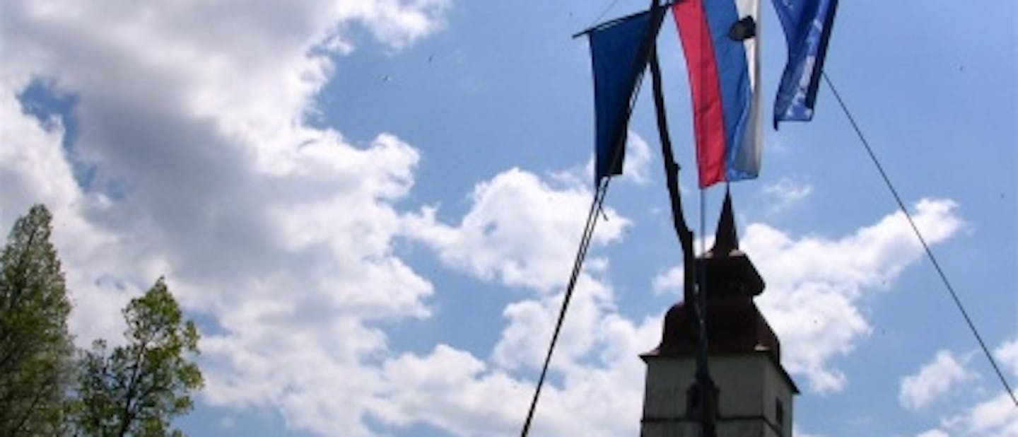 Tabor barjanske čete, stega Ostrorogi Jelen –...