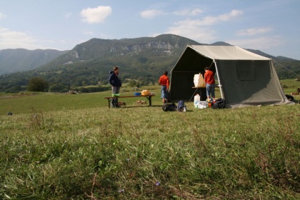 Strgane strune za harmonično uglasitev