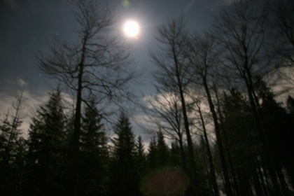 Peti nočni pohod na Blegoš