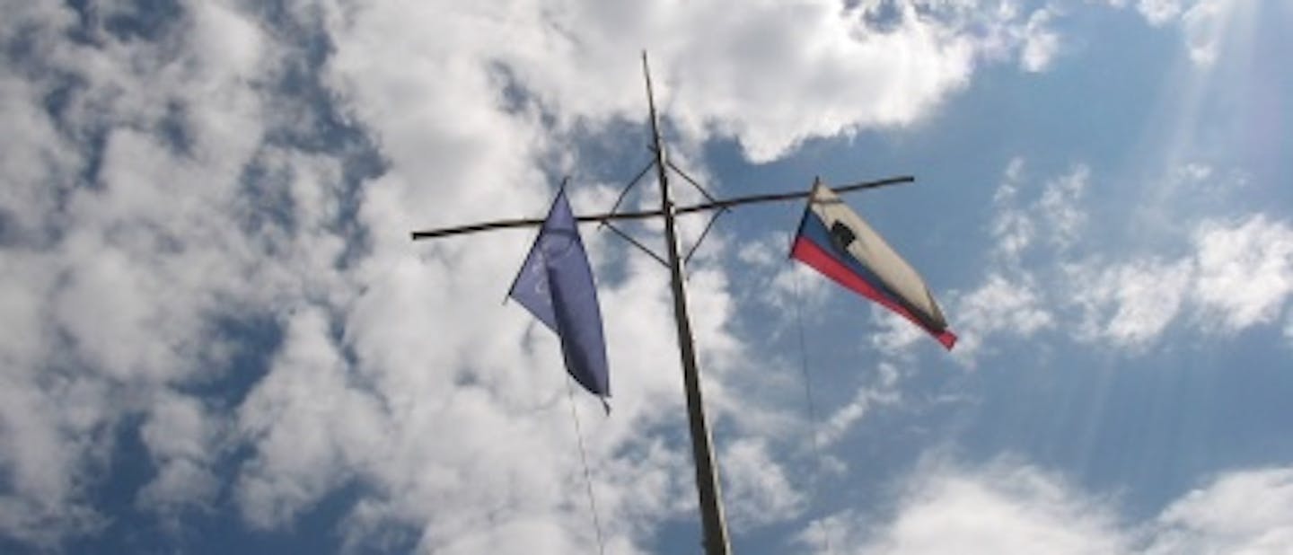 Pazite se - pri nas jih straži 6!