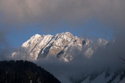 Krdelo volčičev pod Zelenico