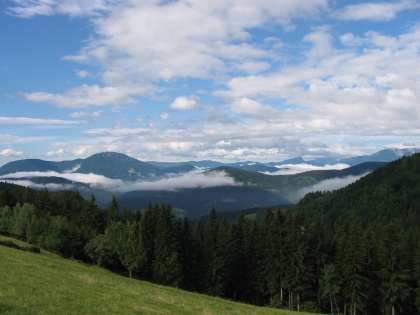 Kaj so danes delali Fužinci?