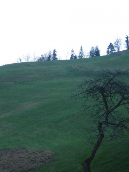 Luč miru iz Betlehema in Odrasli skavti