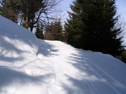 Ali bo Blegoš letos težak? Odvisno od kakovosti...