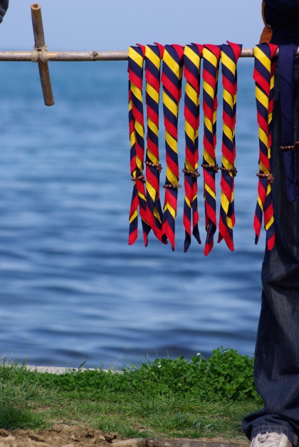 Kranjske obljube, 20.4.2008