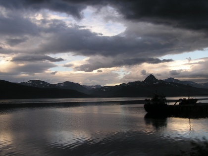 Prispevki za Skavtiča