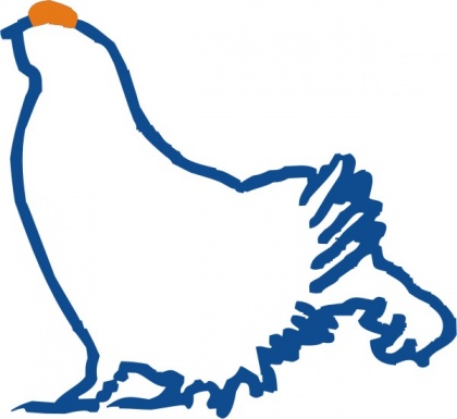 Andrej postane del Skvoja