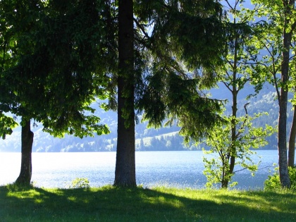 OBČUDUJeMO Slovenijo  že 20 let in še naprej!