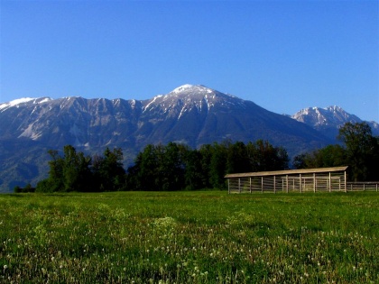 Očistimo Slovenijo: Čas je za teren!