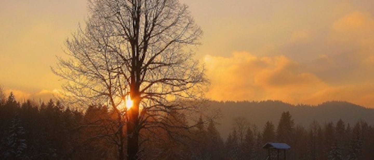 Skavtič v novi preobleki. Pošlji prispevek!