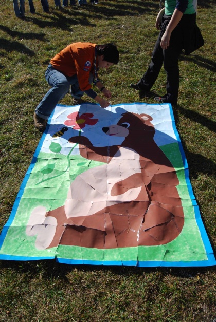 Stari volki premagali zveri