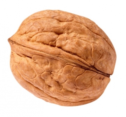 Jesensko državno srečanje voditeljev veje PP