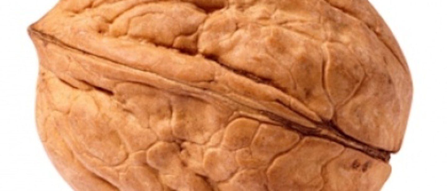 Jesensko državno srečanje voditeljev veje PP