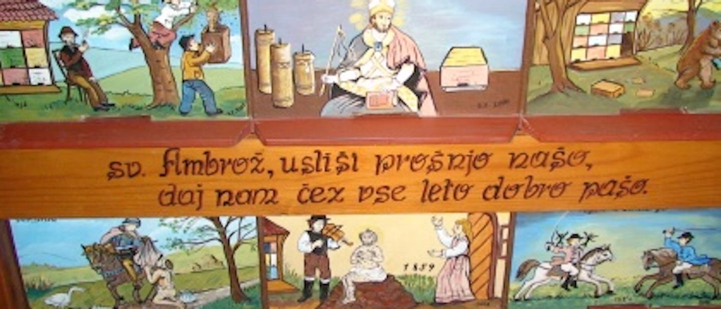 Etnoorientacija za IV in PP