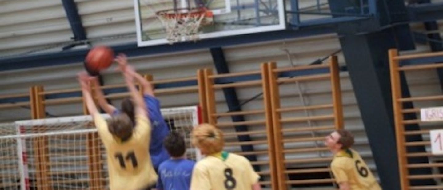 Berkmandlc 2009