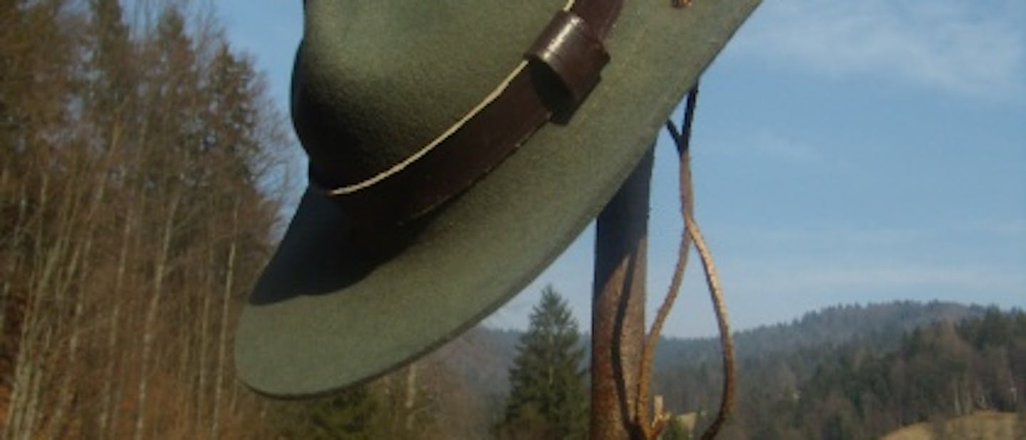 Ali se bojiš rjavega Medveda?