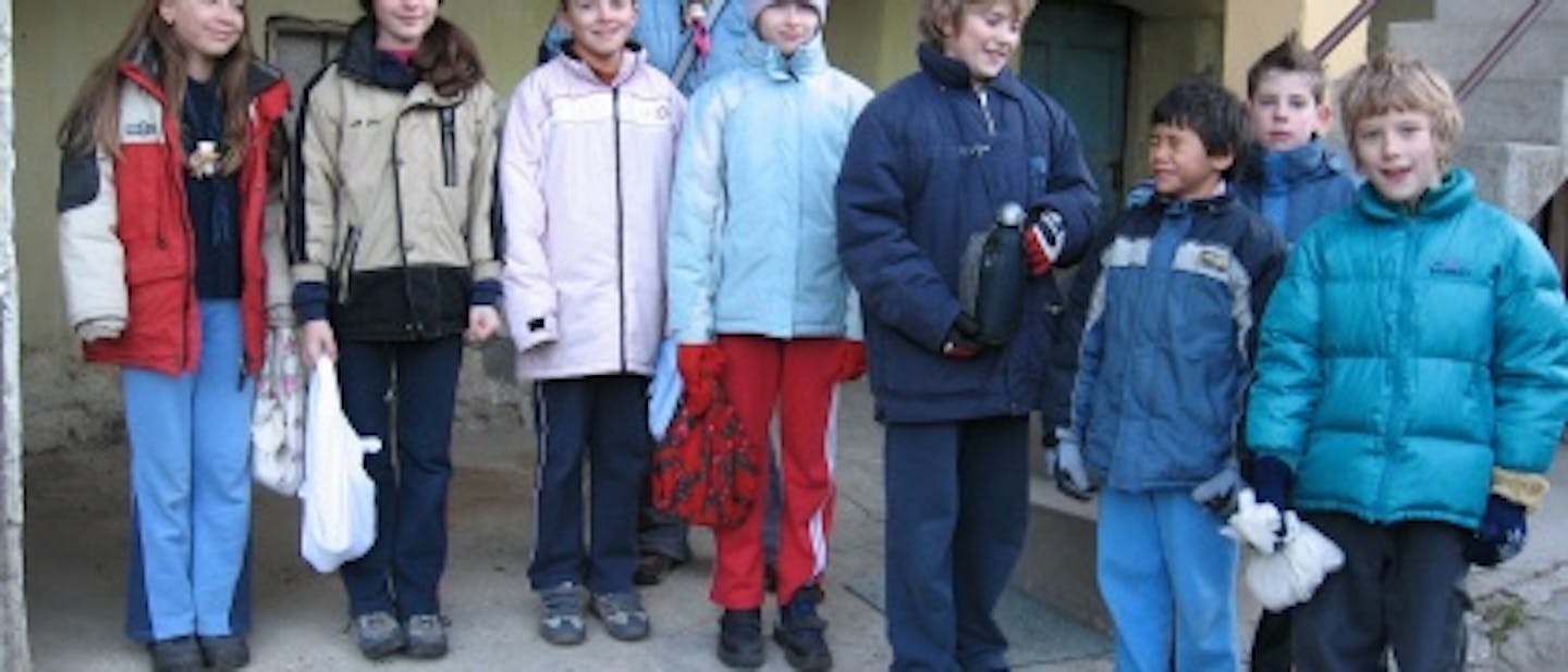 Zimovanje krdela Tolmin 1