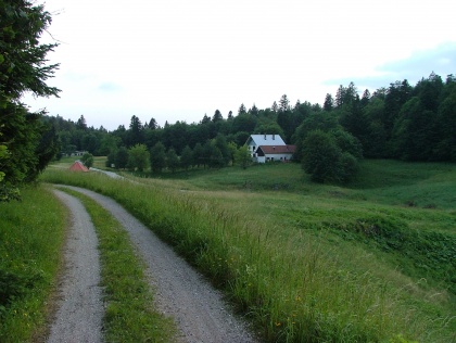 Skavtski delovni tabor!