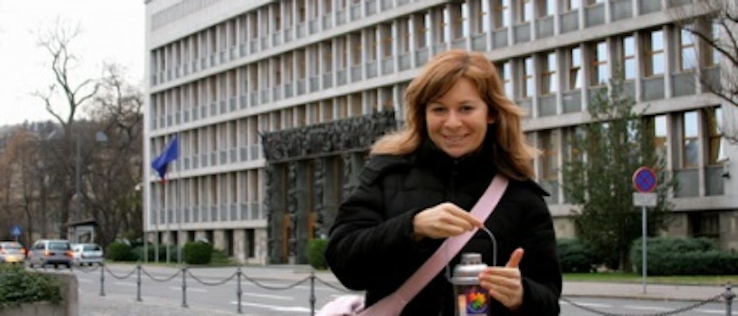 LMB v Državnem Zboru