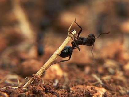 TŠ Pripravnik 2 - Čas za legende