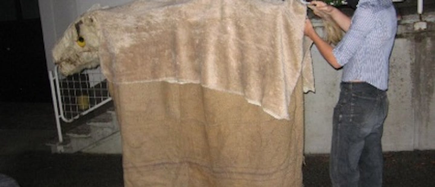 Karli + Peter = poroka