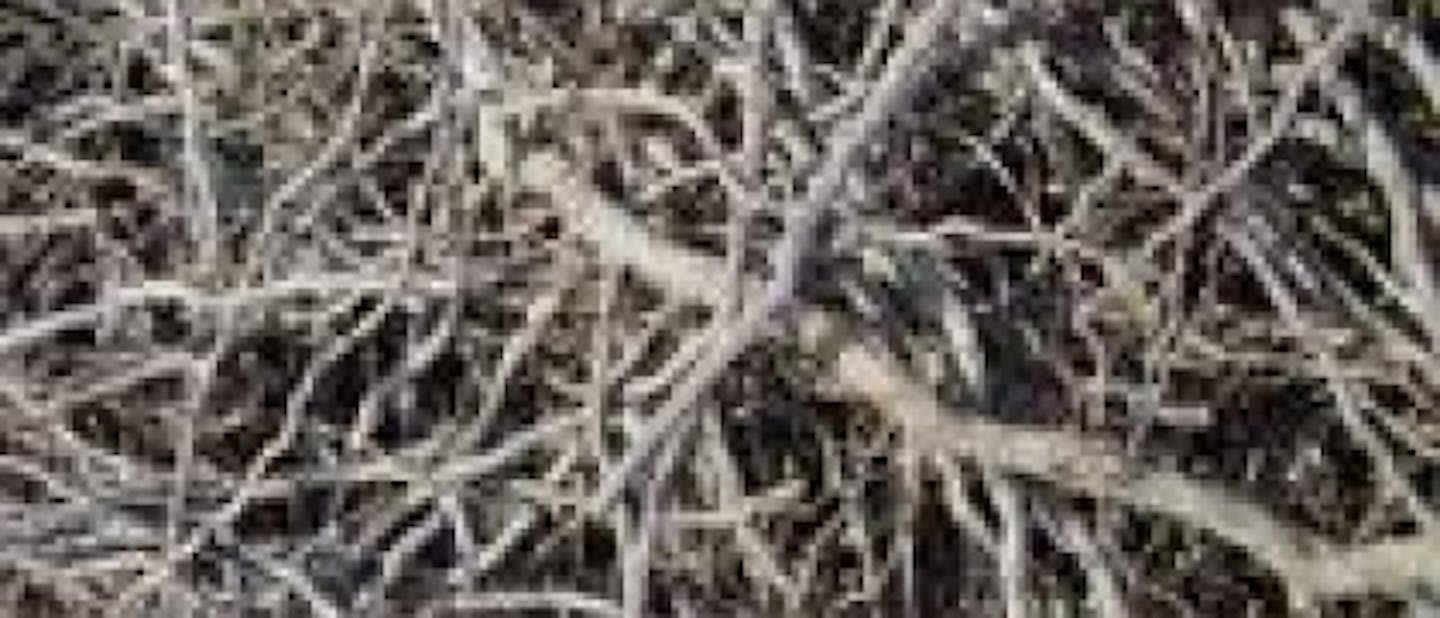 Začelo se bo novo skavtsko leto