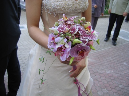 Šime dahnil usodni da