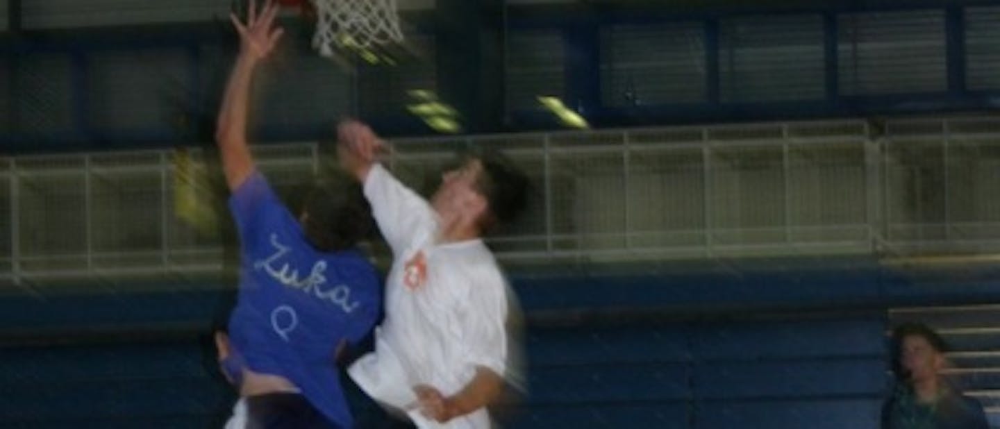 Barkmandlc 2008