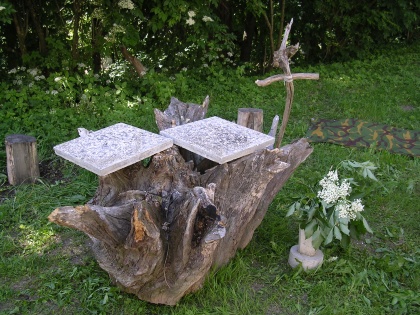 Četa zahodne straže v iskanju modre