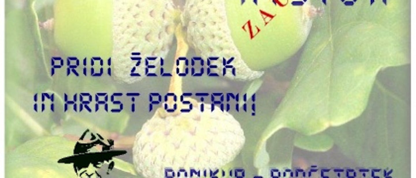 Premalo bodočih voditeljev?