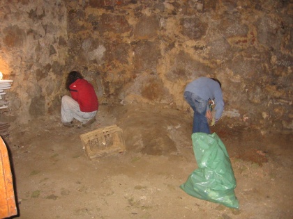 Dan Zemlje v Novem mestu