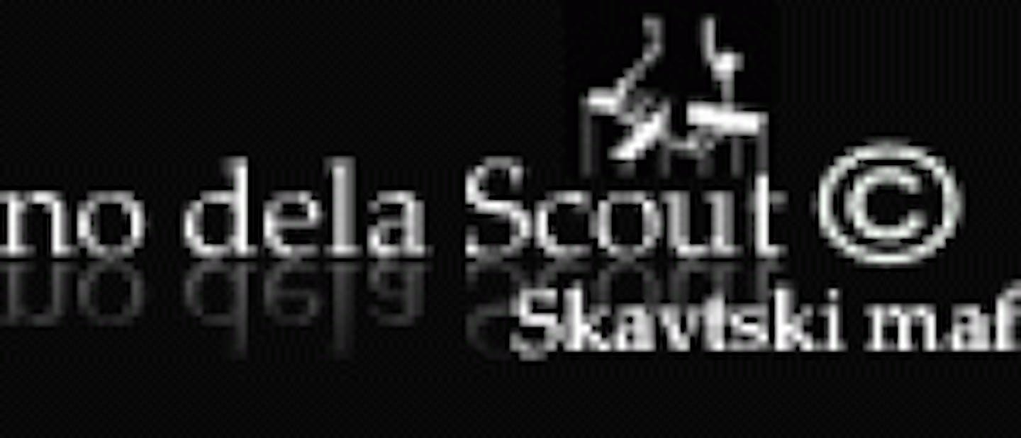 Il Padrino Dela Scout program