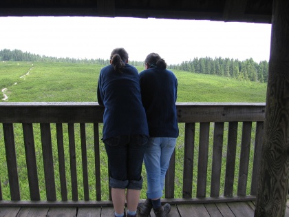 Javna razprava o novi shemi!