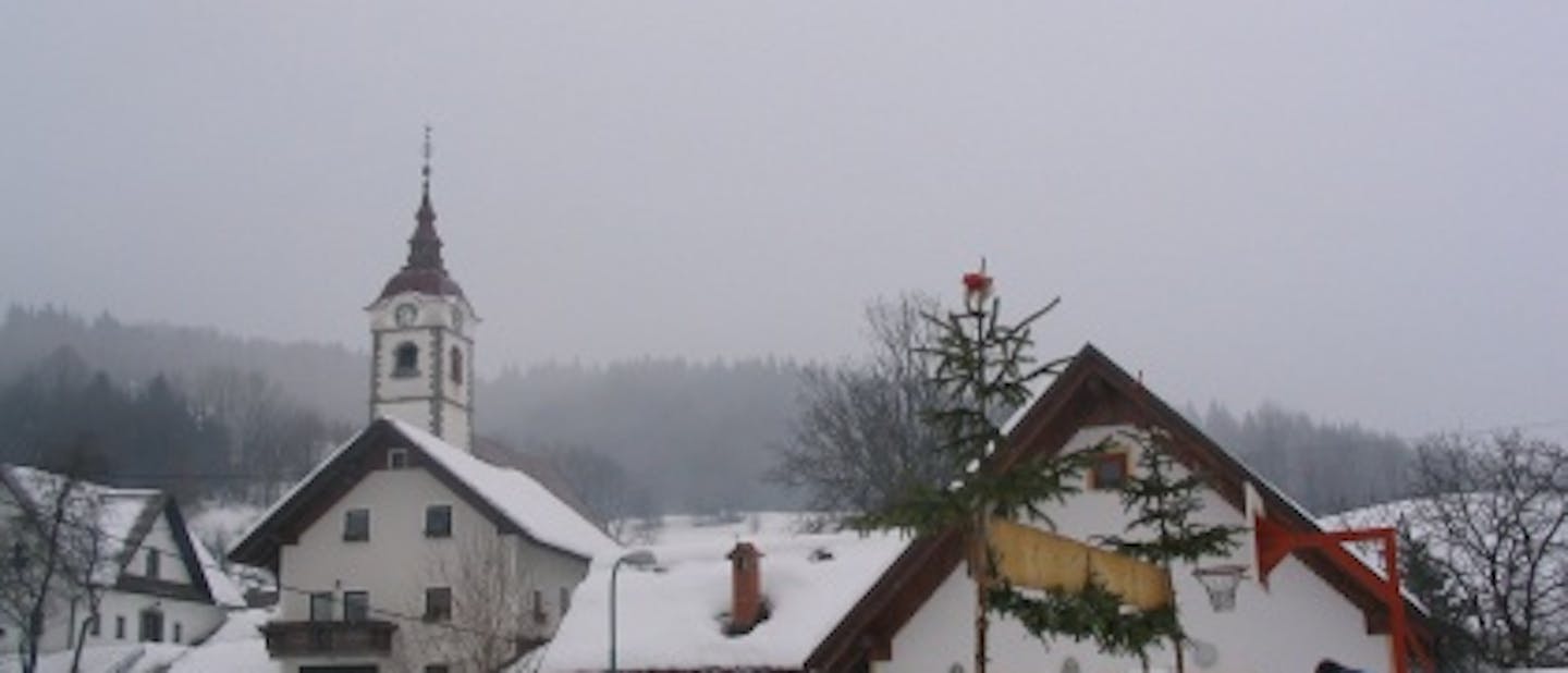 Srečno Neža in Vasja!