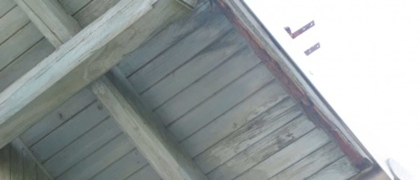 Akcija v Kočevskem Rogu