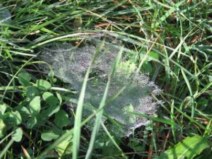 Bandima 2006 se bliža