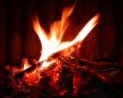 Hitro, hitro..... mudi se....