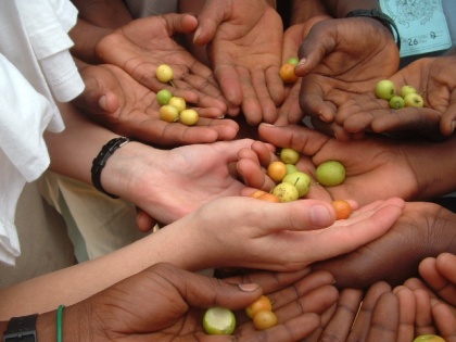 Dobrodelni koncert skupine New Swing Quartet