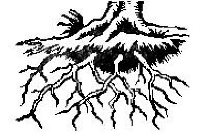 SKVO-ji pridno prijavljali "korenine"