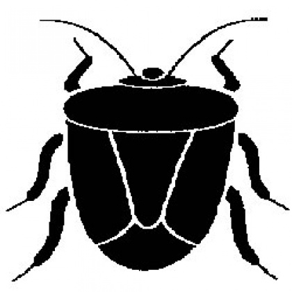 Masten hrošč odpravljen!