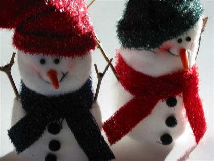 Snežaki odprli spletno stran Dneva Zemlje 2006