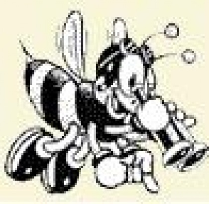 Še nisi prijavljen  na Leseno čebelo 2006 !?