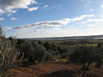 TOV GORIŠČE – novo v Pisarni ZSKSS