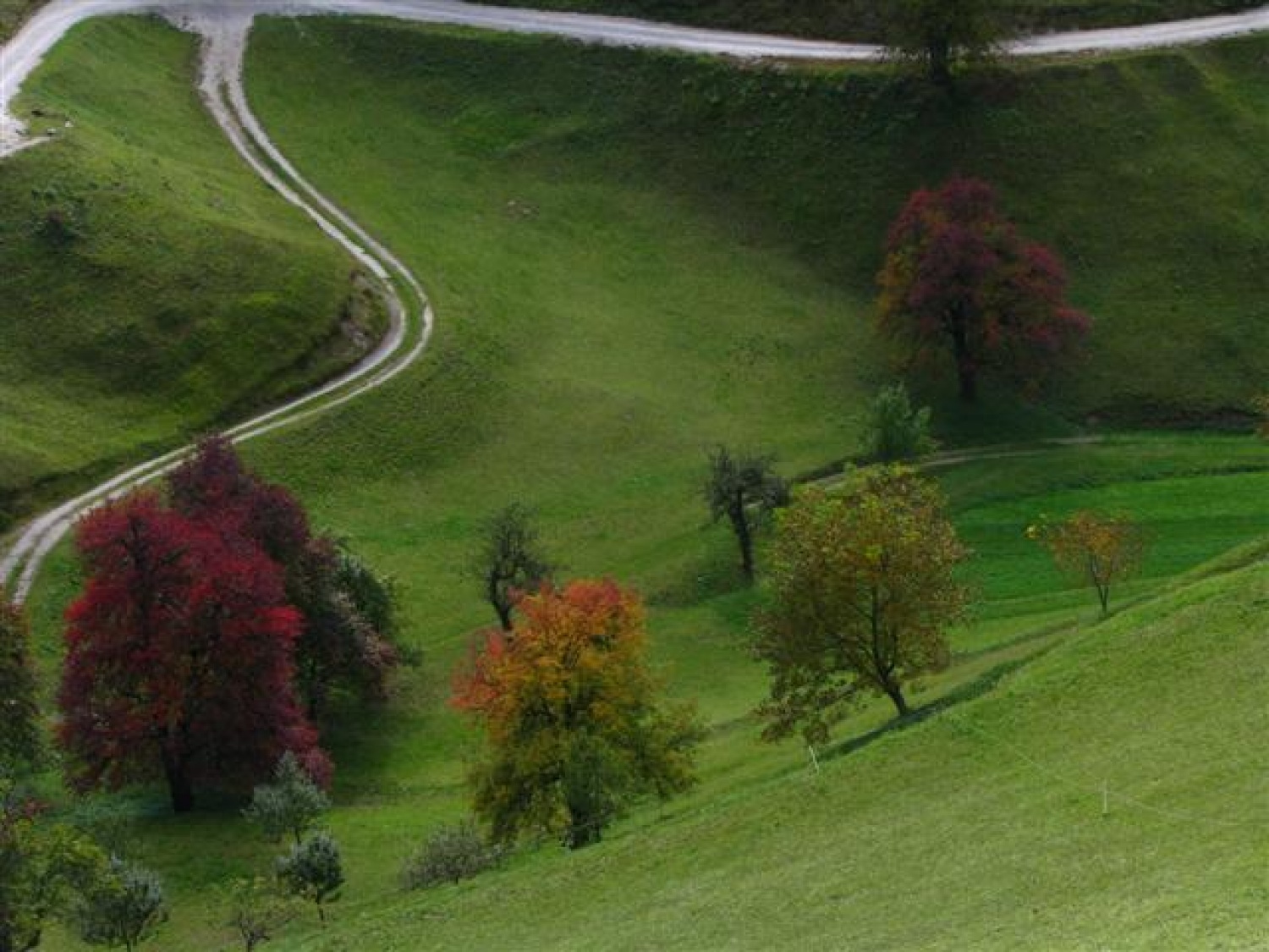 Skavtski treking: Ljubljana - Škofja Loka ali obratno